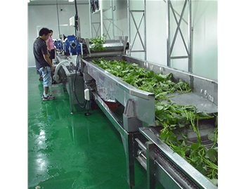 净菜流水线客户现场_